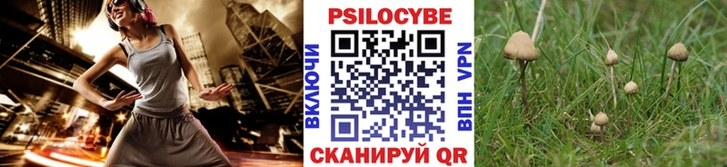 Купить где  Липки  Псилоцибиновые грибы прущие грибы 